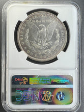 Load image into Gallery viewer, 1886-P Morgan Silver Dollar NGC MS65 CAC  -  -  Blast White Satin Coin
