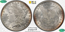 Load image into Gallery viewer, 1891-P Morgan Silver Dollar PCGS MS64+  CAC  -  Blast White Surfaces
