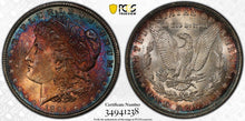 Load image into Gallery viewer, 1891-P Morgan Dollar -- PCGS MS65 Blueberry Fireball Toned Magnificent Gem
