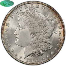 Load image into Gallery viewer, 1891-P Morgan Silver Dollar PCGS MS64+  CAC  -  Blast White Surfaces
